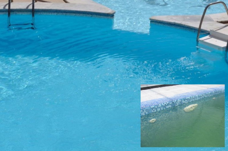 Коагулянт — что это